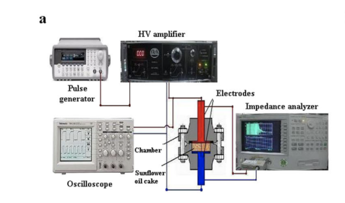 Application Of Pulsed Electric Field For Oil Extraction From Sunflower