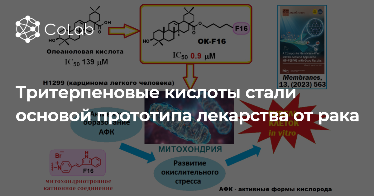 Став кислота