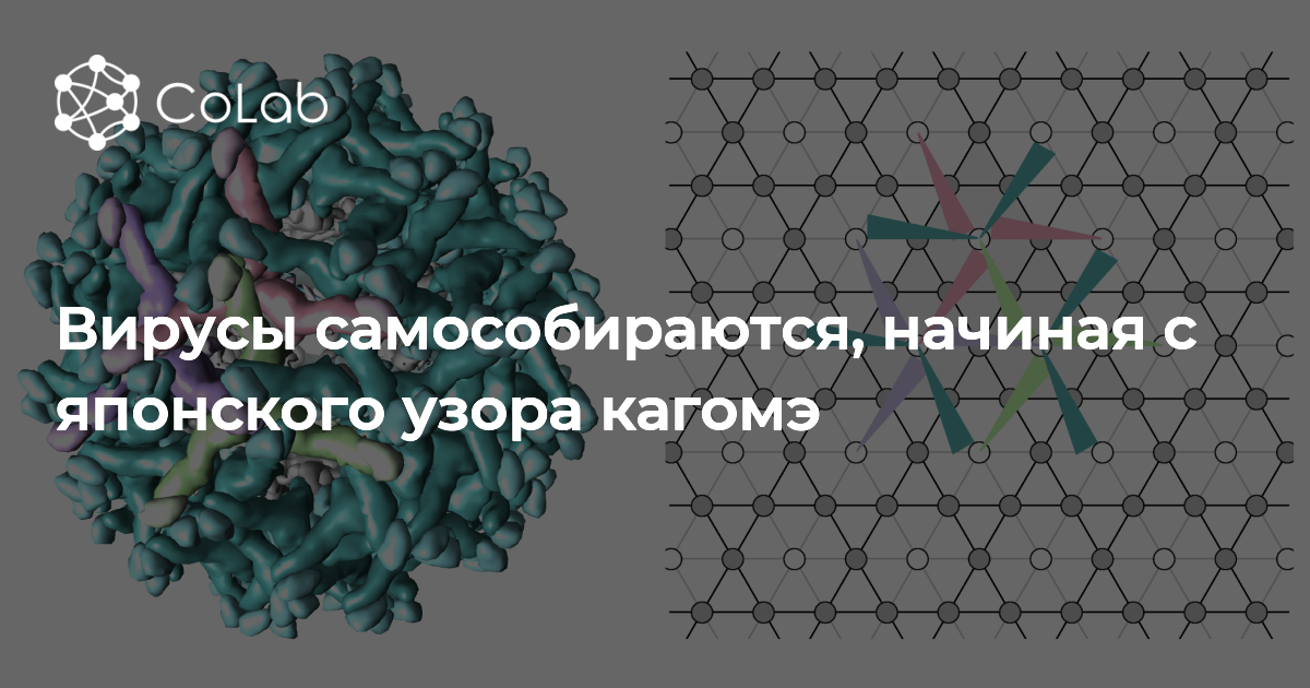 Разработка урока по биологии «Неклеточные формы жизни. Вирусы» (проблемный урок в 10 классе)