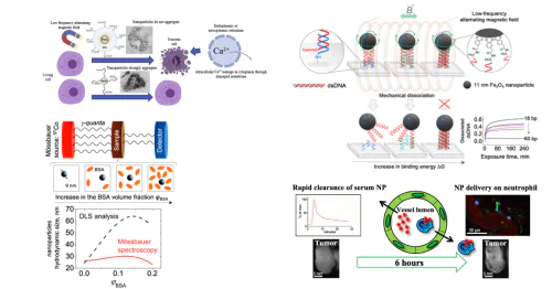 Biomedical Nanomaterials Laboratory