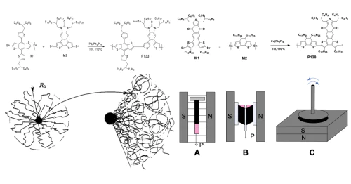 Department of Polymer and Crystal Physics, Faculty of Physics, Lomonosov Moscow State University
