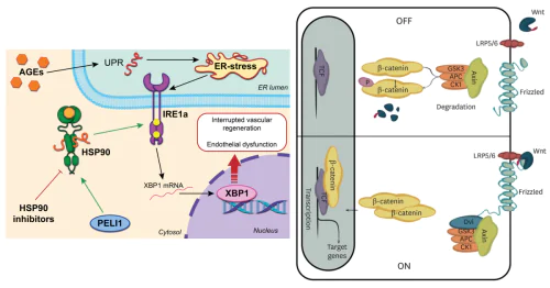 Department of Cardiac Surgery