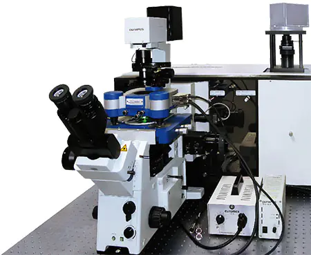 Атомно-силовой микроскоп JPK Nanowizard