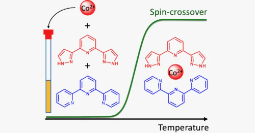 Molecular Structure Research Center