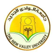 New Valley University