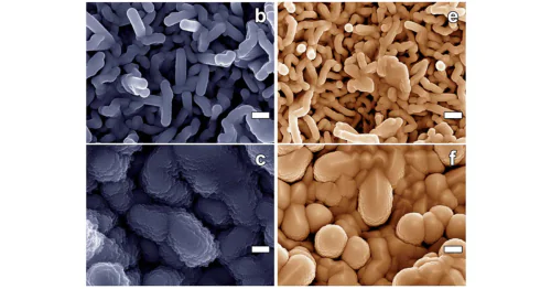 Research and development center for electrochemical technology