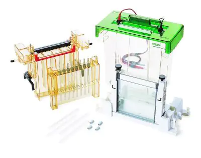 Оборудование для 1D и 2D электрофорезов PROTEAN II XL Cell BIO-RAD для протеомного профилирования и изоэлектрофокусирования.