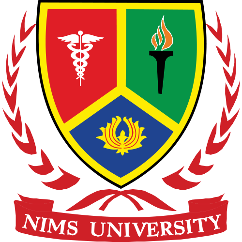 NIMS University