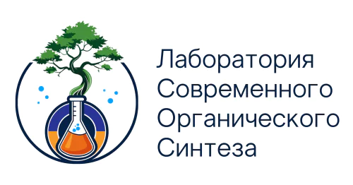 Laboratory of Modern Organic Synthesis, INSMa