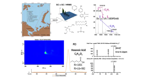 Laboratory of physico-chemical methods for the analysis of the structure of matter