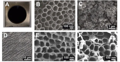 Laboratory of Functional diagnostics of low-dimensional structures for Nanoelectronics