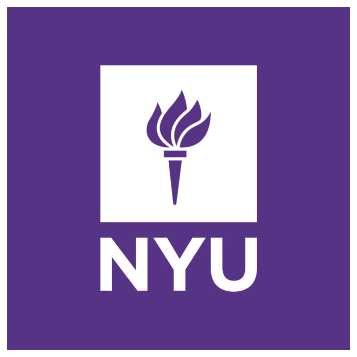 New York University Abu Dhabi