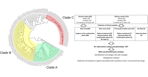 Laboratory of Epidemiologically and Socially Significant Infections