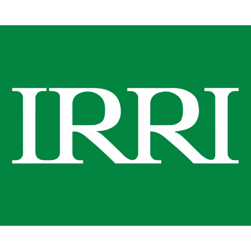 Международный институт риса
