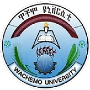 Wachemo University