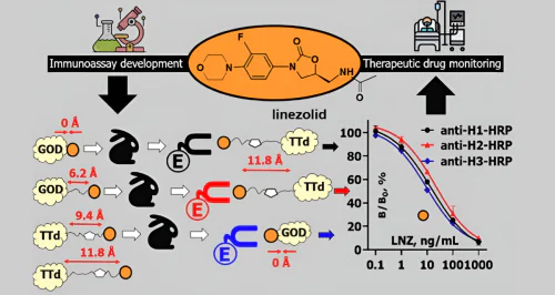 Laboratory of Synthesis of Antibiotics Overcoming Drug Resistance