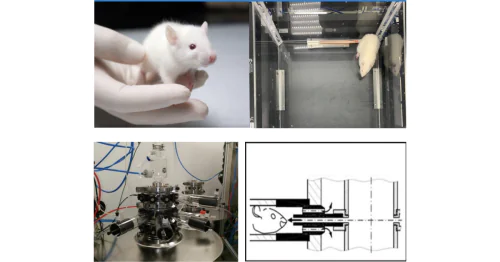 Department of Inhalation Toxicology
