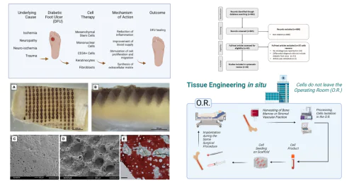 Department of Regenerative Medicine of NMIC Radiology