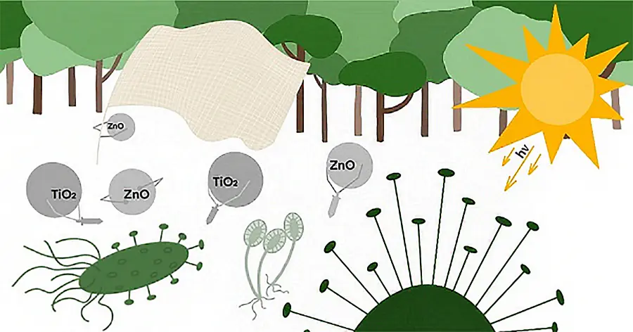 Наночастицы помогли защитить ткани от тропических микроорганизмов