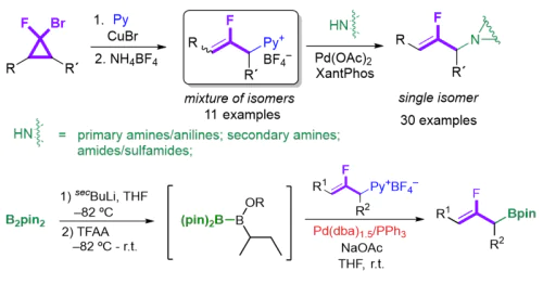Laboratory of diazo compound chemistry