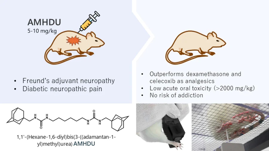 Development of analgesic agents based on soluble epoxide hydrolase inhibitors