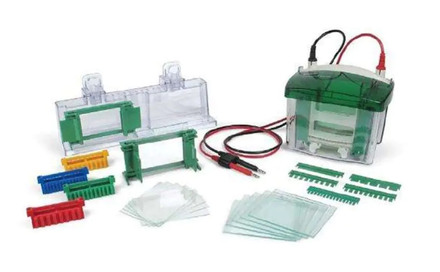 Mini-PROTEAN Tetra Vertical Electrophoresis Cell with PowerPac Basic Power Supply