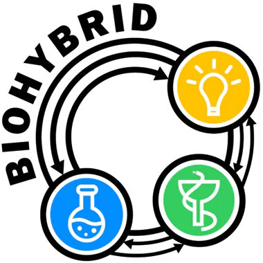 Scientific conference-school "Biohybrid SYSTEMS in CHEMISTRY, BIOTECHNOLOGY and MEDICINE" ("Biohybrid systems in chemistry, biotechnology and medicine")