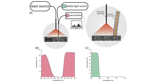 Laser biospectroscopy lab