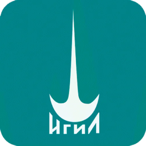 Lavrentyev Institute of Hydrodynamics of the Siberian Branch of the Russian Academy of Sciences