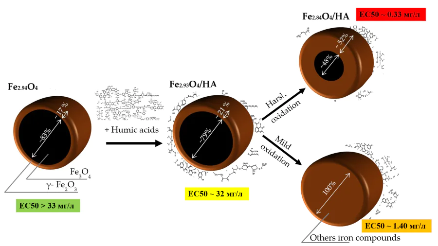 Investigation of the influence of environmental conditions on the physico-chemical and functional characteristics of modified iron oxides