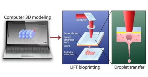Laboratory of Laser Nanoengineering