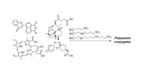 Лаборатория Липидов