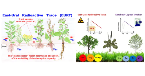 Laboratory of Population Radiobiology