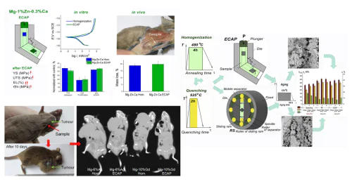 Laboratory of Metallology of Non-ferrous and Light metals named after Academician A.A. Bochvar