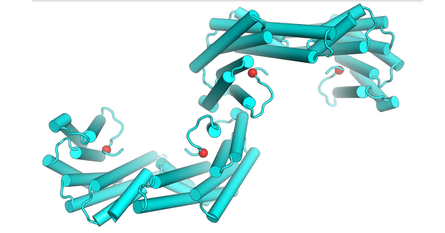 «Фосфатная метка» оказалась важной для работы белка, связанного с лейкозом