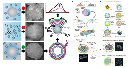 Laboratory of Bioorganic Structures