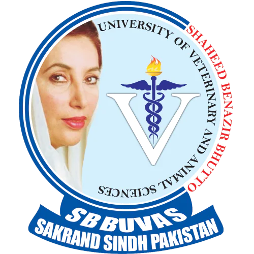 Shaheed Benazir Bhutto University of Veterinary & Animal Sciences