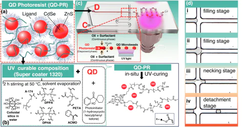 Лаборатория нано-биофотоники