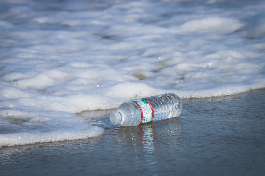 Ученые выяснили, какой мусор несут крупнейшие реки в Белое море