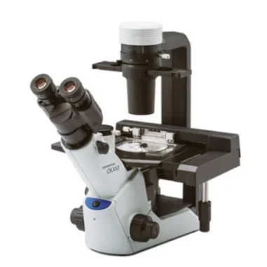 Флуоресцентный микроскоп (Olympus CKX53 + флуоресцентный источник света Olympus U-HGLGPS)