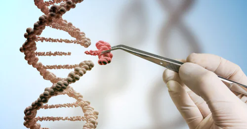 Laboratory of breeding and genetic research of field crops