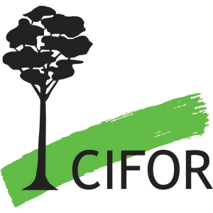 Center for International Forestry Research Indonesia