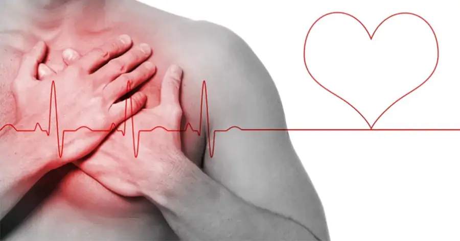 Ученые обнаружили один из возможных факторов старения сердца