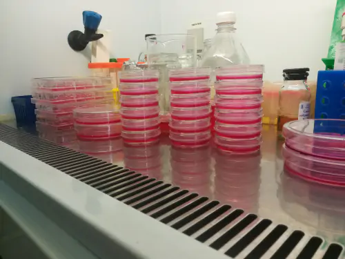 Department of Chemical Carcinogenesis