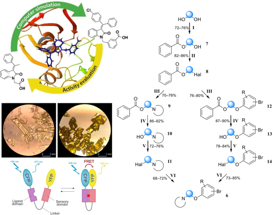 Development of modulators of AMP-activated protein kinase, an energy balance regulator