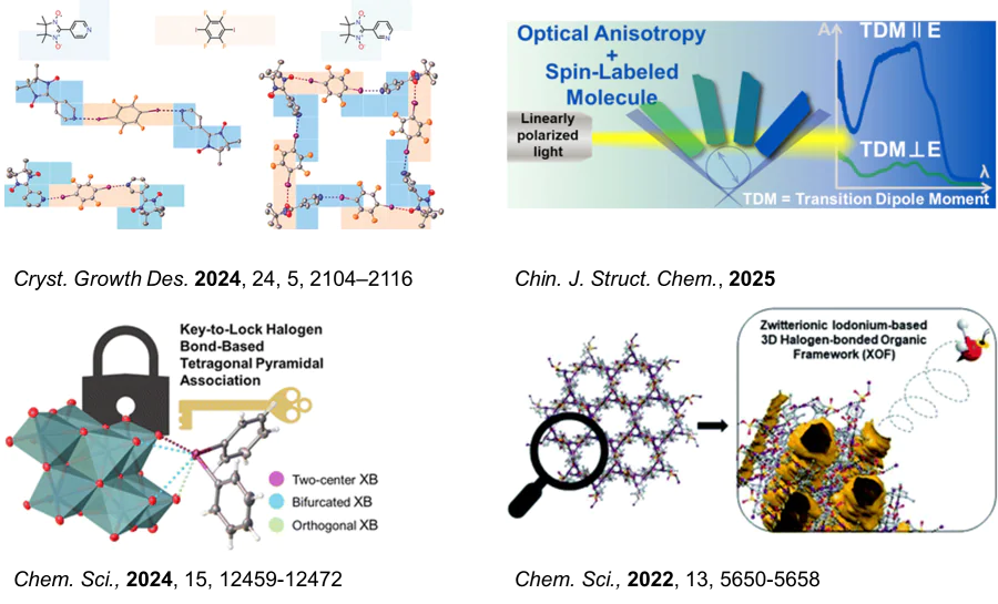 Non-valent interactions in the chemistry of materials (supported by 220PP)