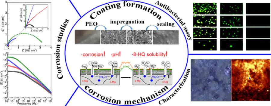 Уникальные самовосстанавливающиеся покрытия смогли защитить сплавы металлов от коррозии и патогенных бактерий