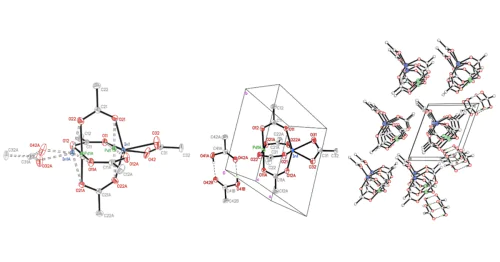 Laboratory of metal complex catalysis