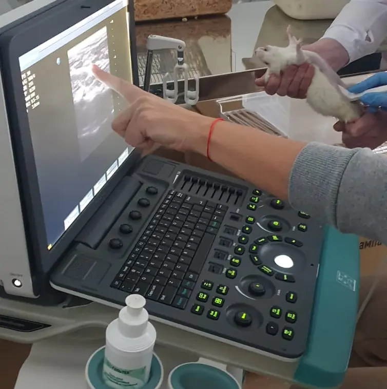 Ultrasound examination room