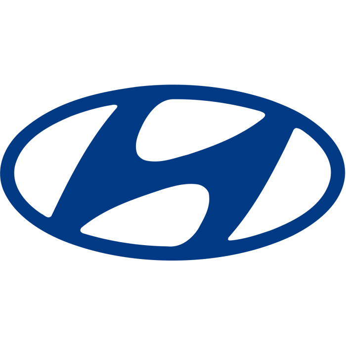 Hyundai Motor Group